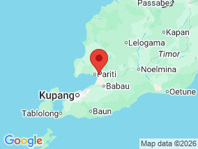 Map of Site Report: Bipolo Forest, Indonesia